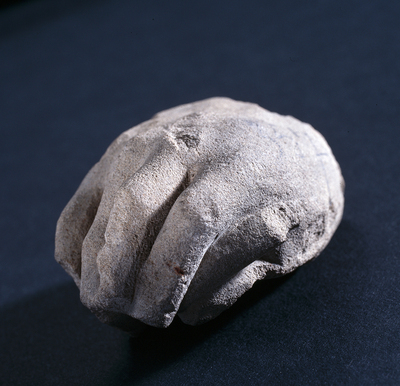 1966.0153 S.jpg; 1966.0153; ;